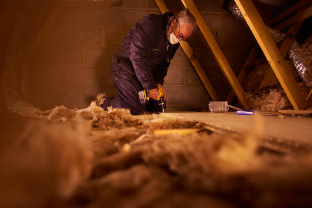 Best Energy Efficiency Insulation in Faribault, MN
