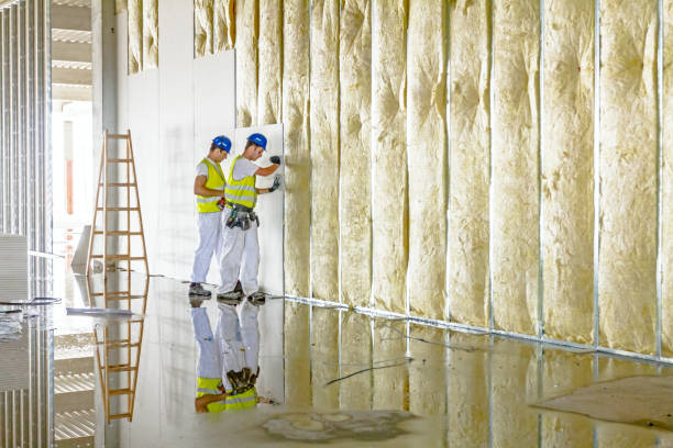Best Specialized Insulation Services in Faribault, MN